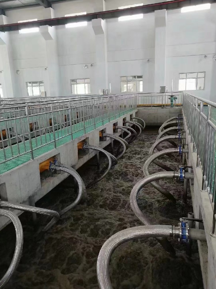 魚(yú)類養(yǎng)殖廢水處理