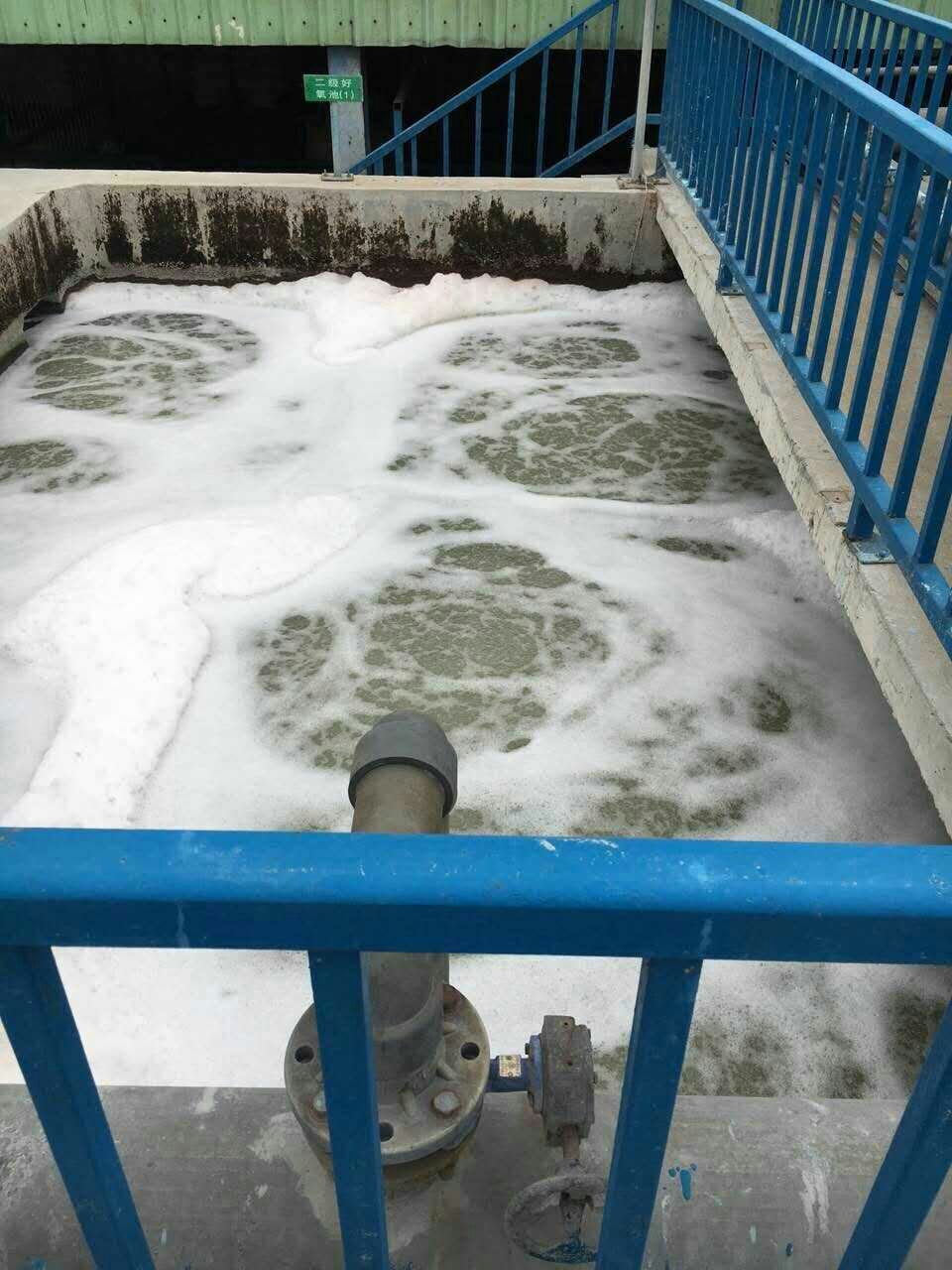 大豆蛋白廢水處理設(shè)備