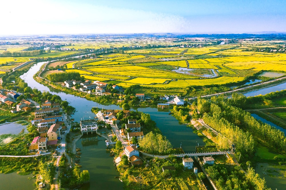 人工濕地污水處理設備