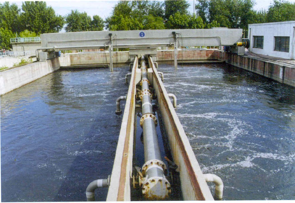 大蒜食品加工廢水處理